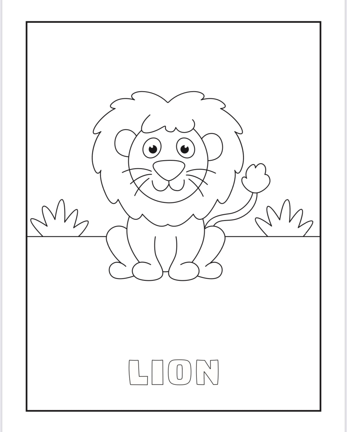 Tierre & Tiarno's Animals Colouring Book