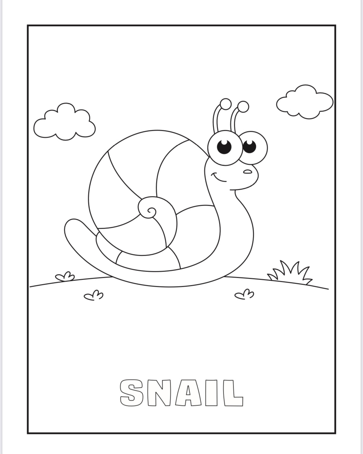 Tierre & Tiarno's Animals Colouring Book