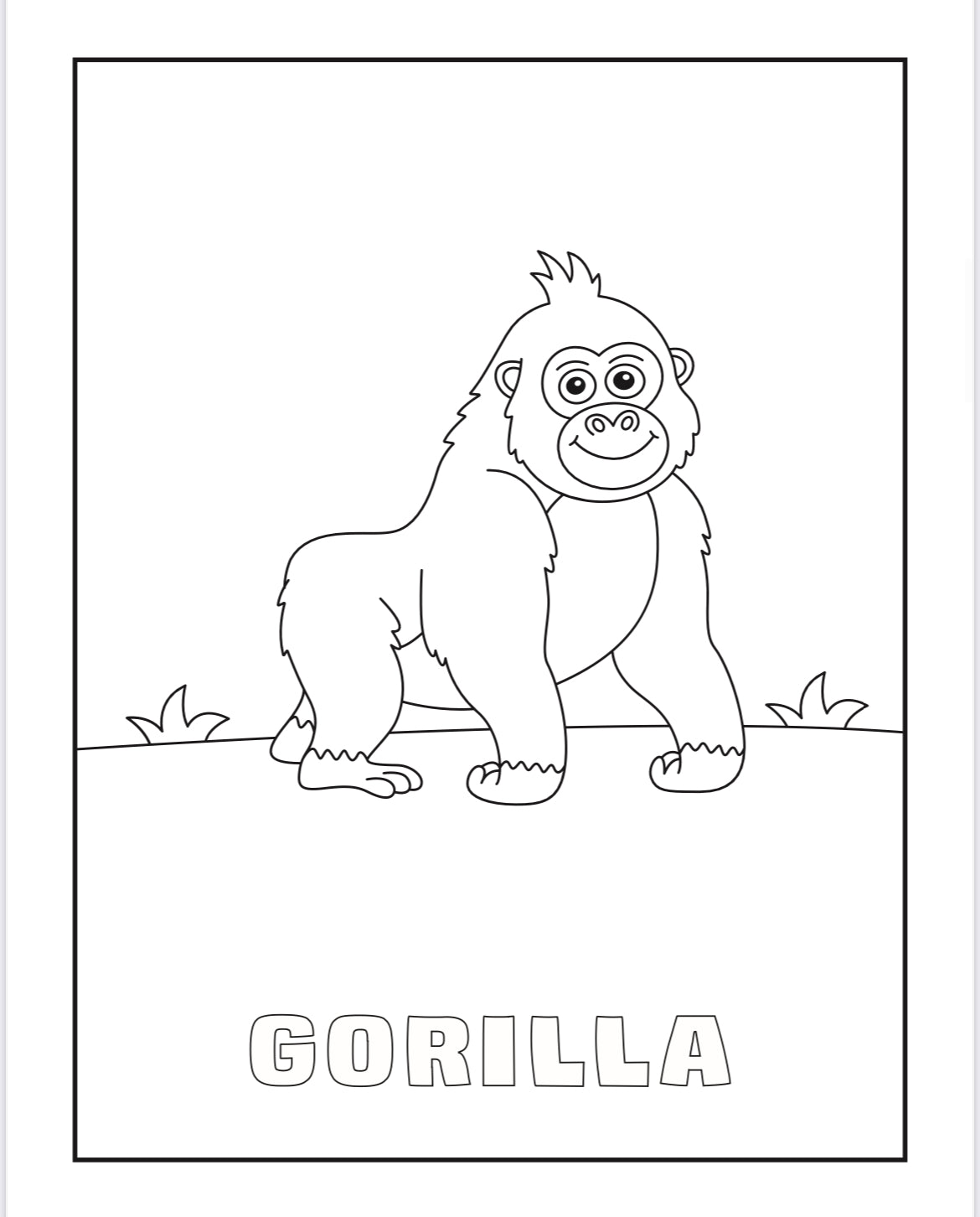 Tierre & Tiarno's Animals Colouring Book