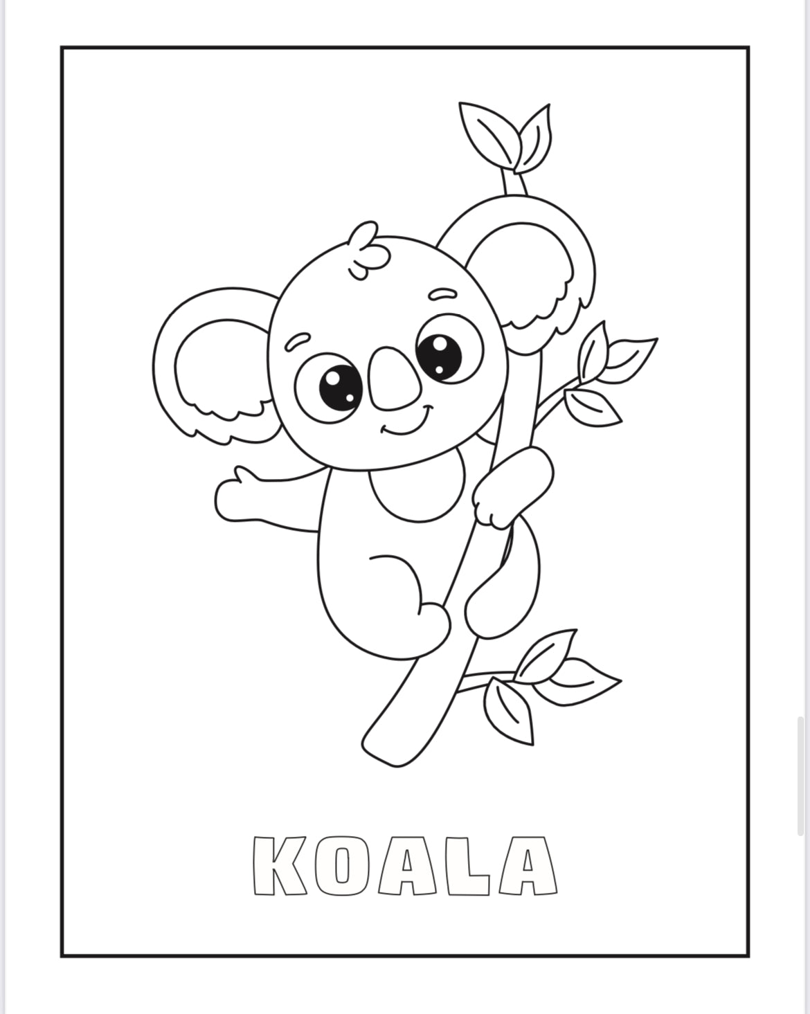 Tierre & Tiarno's Animals Colouring Book