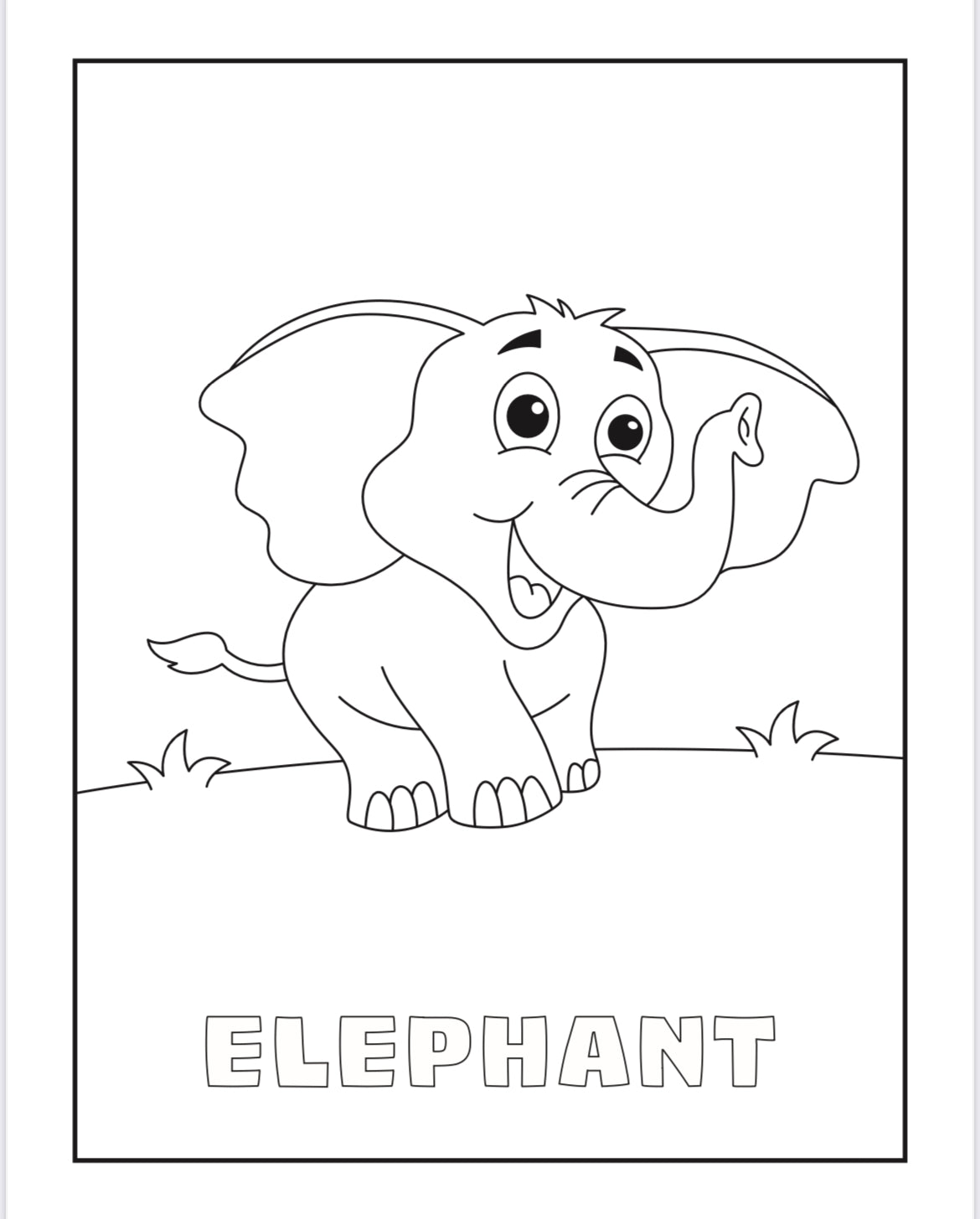 Tierre & Tiarno's Animals Colouring Book