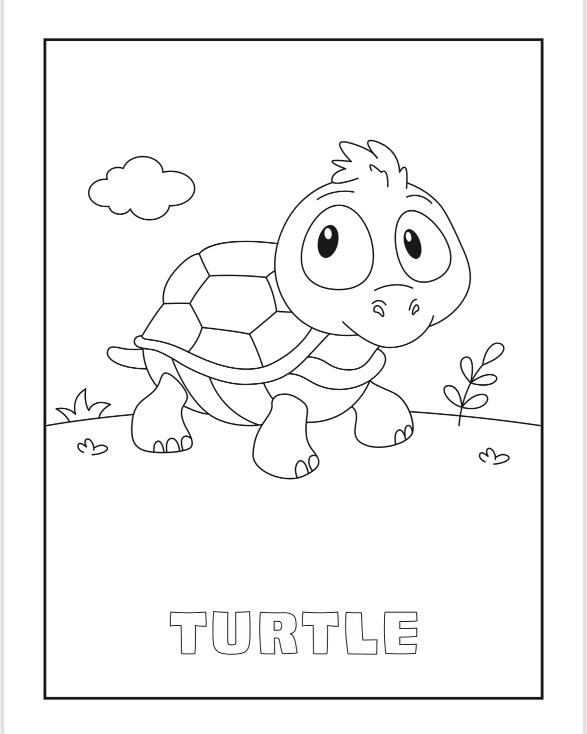 Tierre & Tiarno's Animals Colouring Book