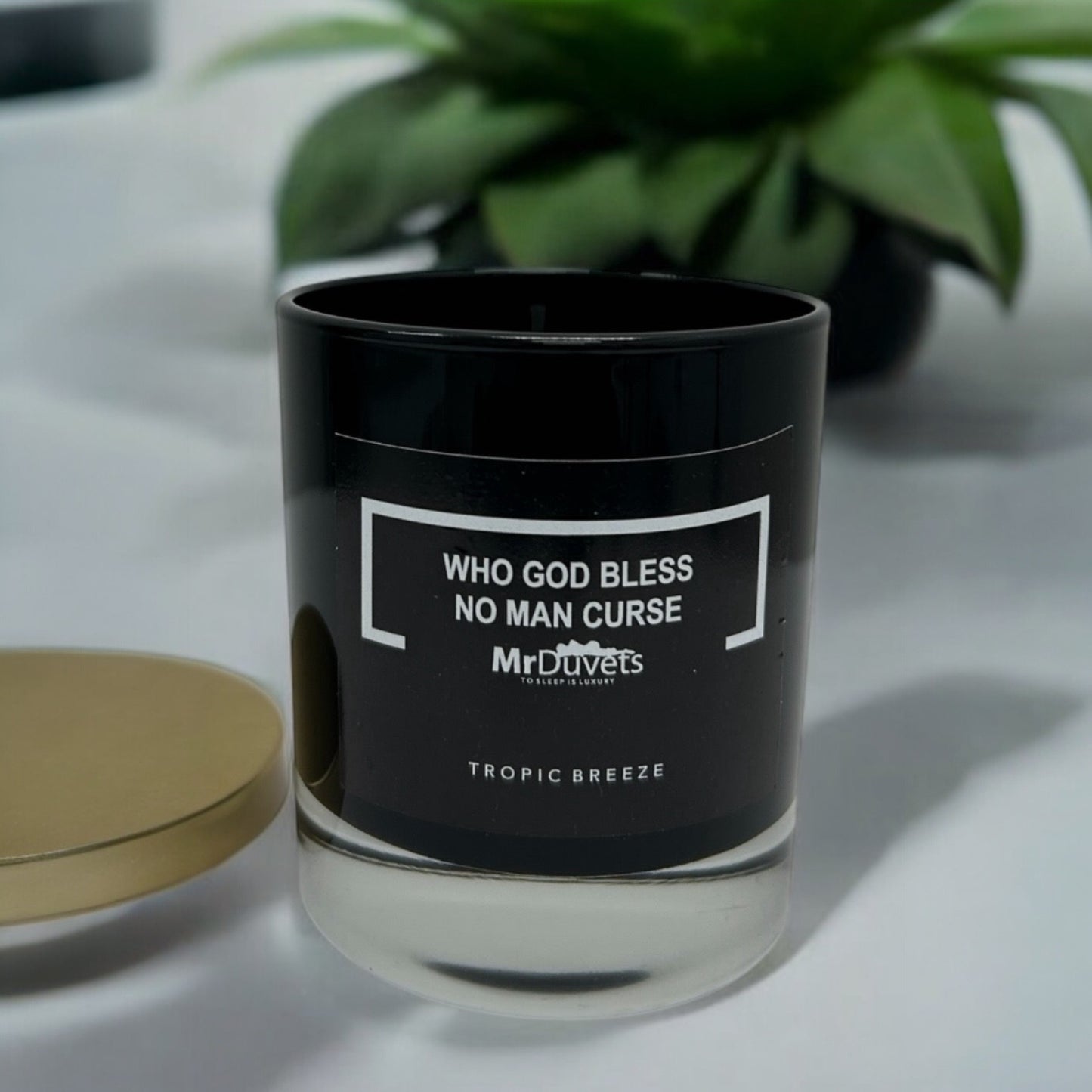 Who God Bless No Man Curse Tropic Breeze Candle